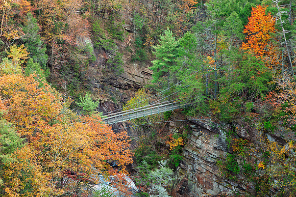 Autumn Tallulah Bridge Gorge