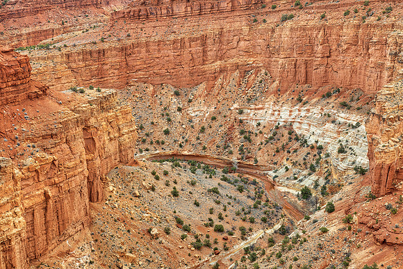 Capitol Chasm Reef