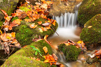 Wigwam Autumn Moss Stream