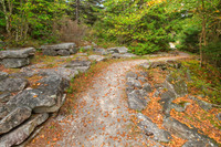 Spruce Knob