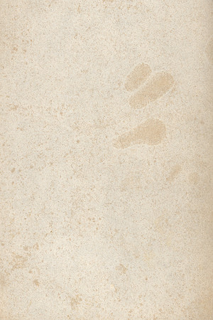 Blank Vintage Paper 1