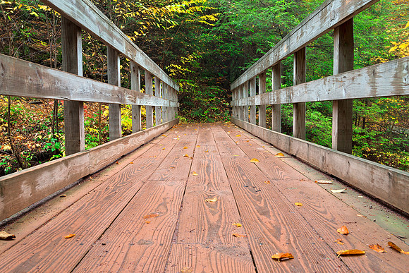 Ricketts Glen Footbridge