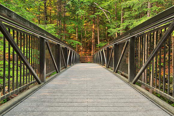 Green Mountain Forest Bridge