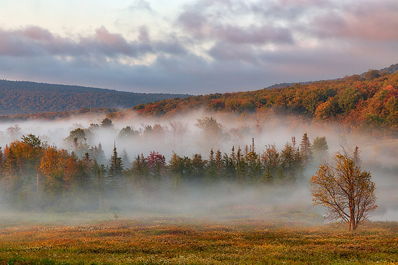 Autumn Canaan Valley Mist