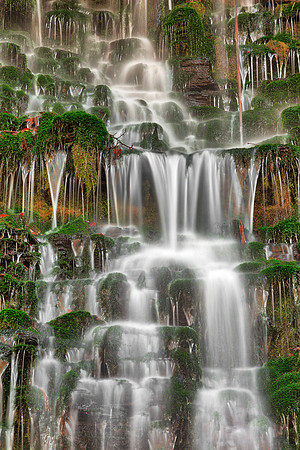 Springing Moss Falls
