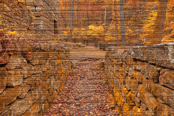 Autumn Lines of Roaring Run Furnace