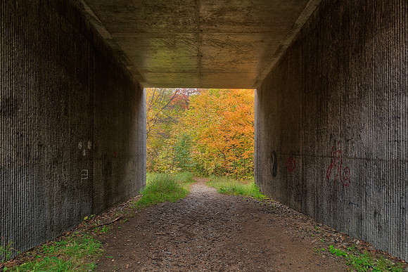 Autumn Georgiana Tunnel