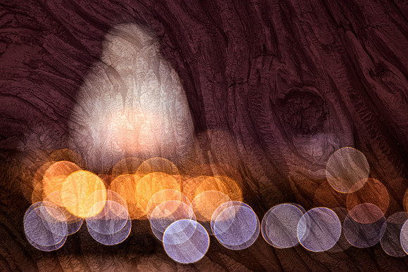 Capitol Bokeh Bark