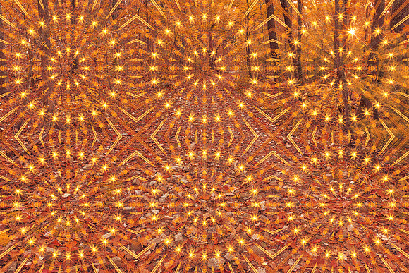 Autumn Mandala Sunburst Trail