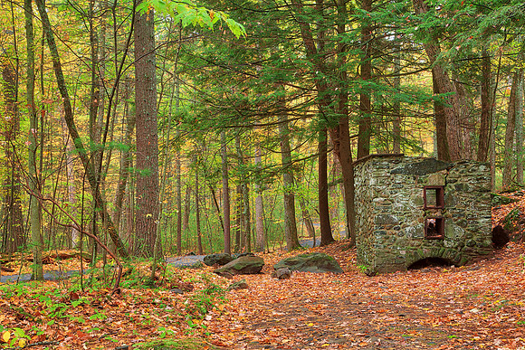 Autumn Forest Ruins - George Childs Park