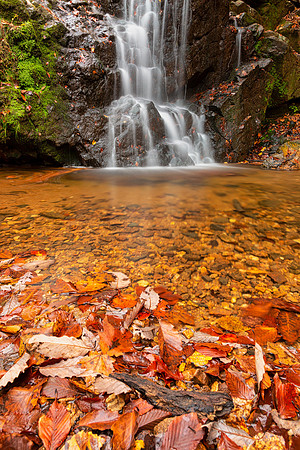 Autumn Cascade Falls