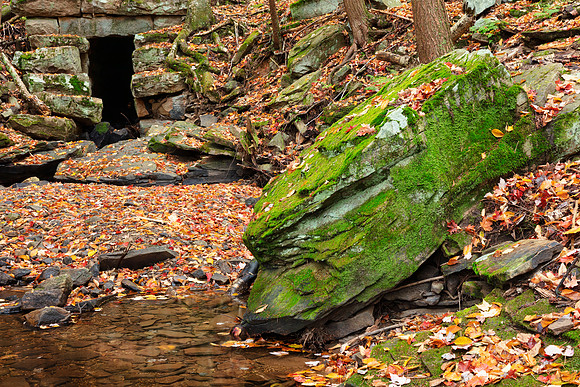Autumn Goblin Lair