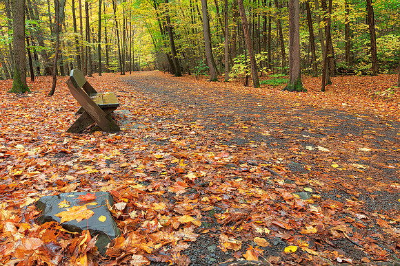 Autumn Taughannock Trail