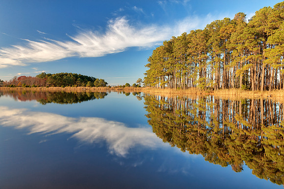 Lake Knapp Reflection