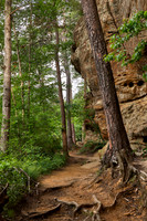 Happy Gorge Trail