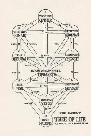 Vintage Diagram - Ancient Tree of Life