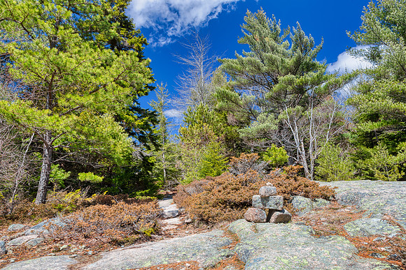 Rugged Acadia Park Trail
