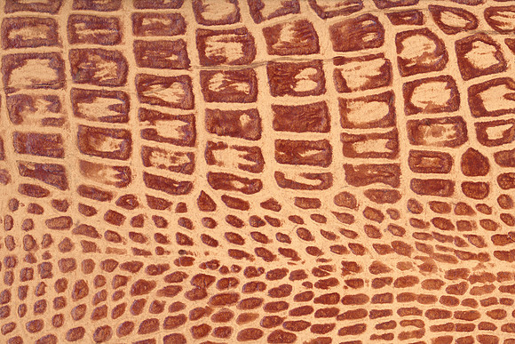 Vintage Leather Texture