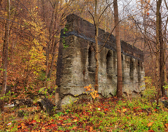 Defiant Fall Wall