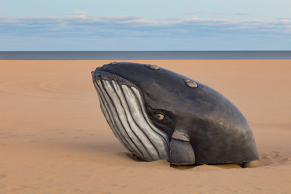 Ocean City Sand Whale