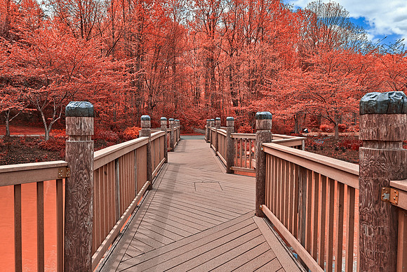 Meadowlark Gardens Bridge - Salmon Pink