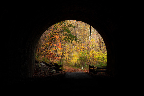 Autumn Silhouette Tunnel