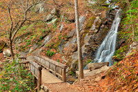 Juney Whank Bridge Falls