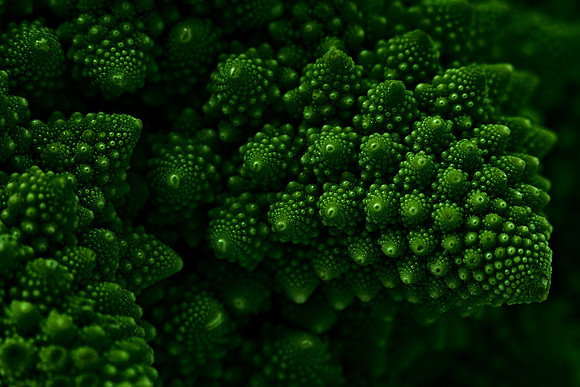 Macro Romanesco Broccoli - Low Key