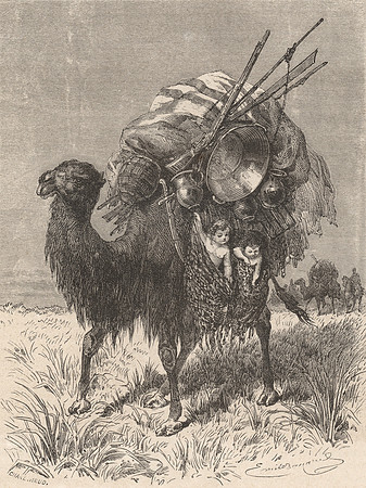 Vintage Image Plate - Camel Baby Express