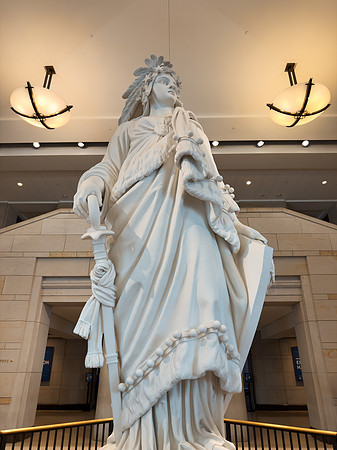Model of Freedom