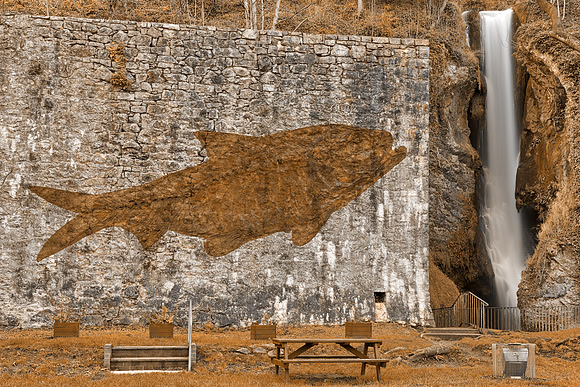 Fish Fossil Falls