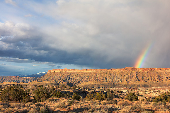 Utah Rainbow Mesa
