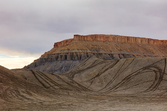 Swing Arm Mesa