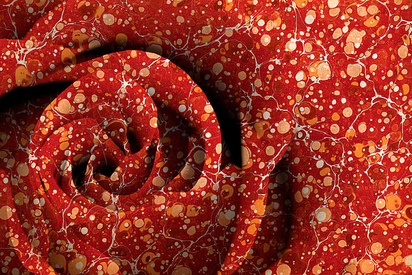 Vintage Lava Rose