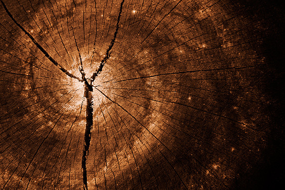 Cracked Wood Galaxy