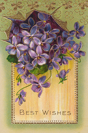 Vintage Floral Postcard - Best Wishes 2