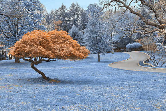 Woodend Sapphire Sanctuary