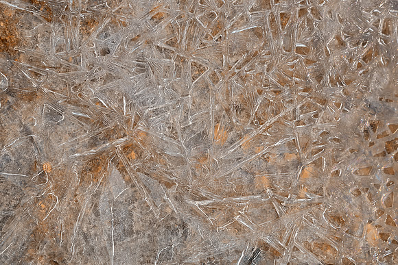 Beach Ice Texture