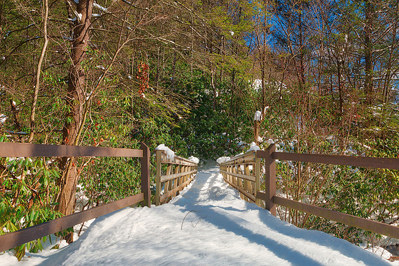 Hickory Run Winter Bridge