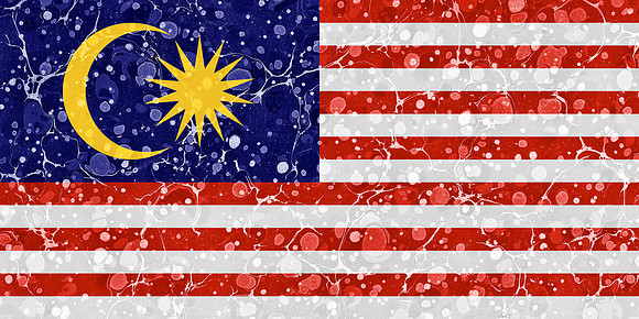 Marbled Flag - Malaysia