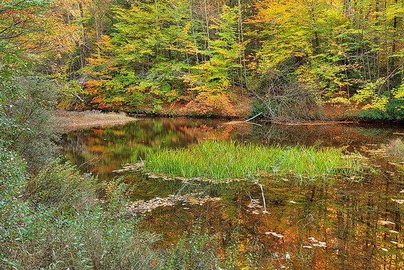 Autumn Pond of Hickory Run