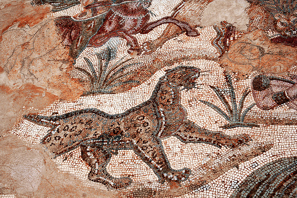 Roman Tunisia Mosaic