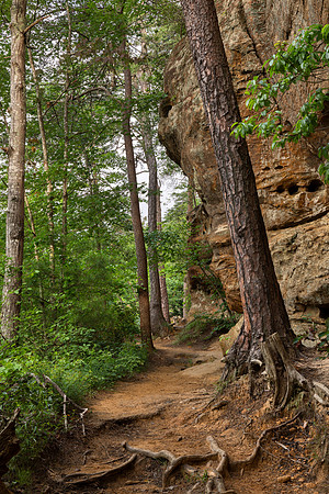 Happy Gorge Trail
