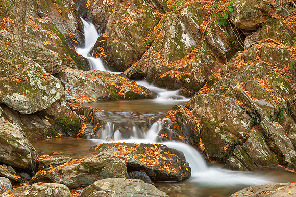 Autumn Zig Zag Cascades