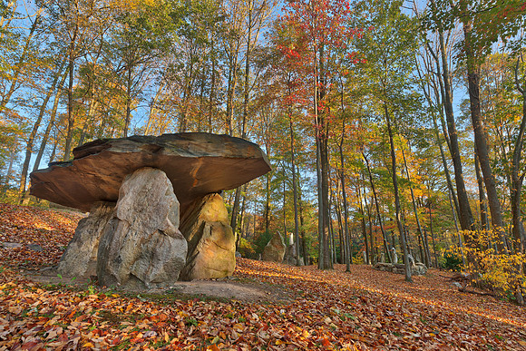 Autumn Dolmen Forest