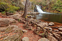 Rugged Abrams Falls