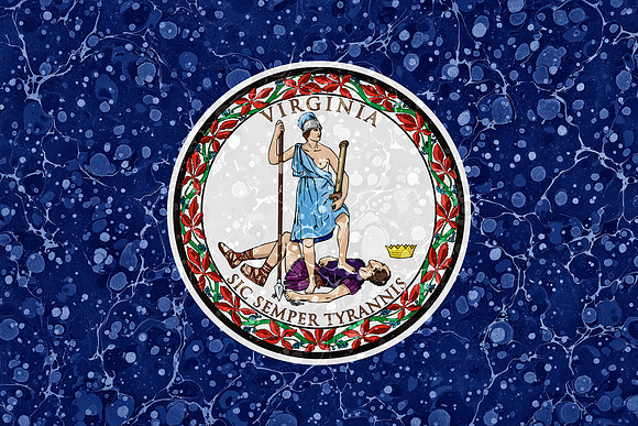 Marbled Flag - Virginia