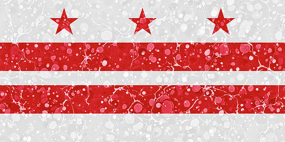 Marbled Flag - Washington DC