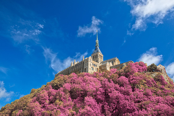 Mont Saint-Michel Abbey - Pink Fantasy