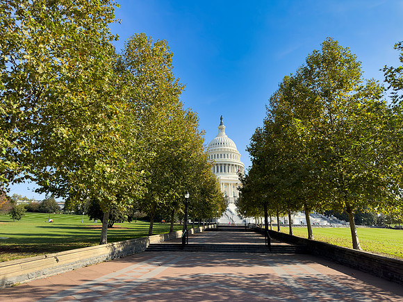 Capitol Stroll